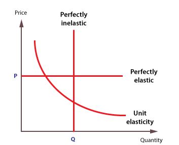 price elasticity diagram coordinate plane